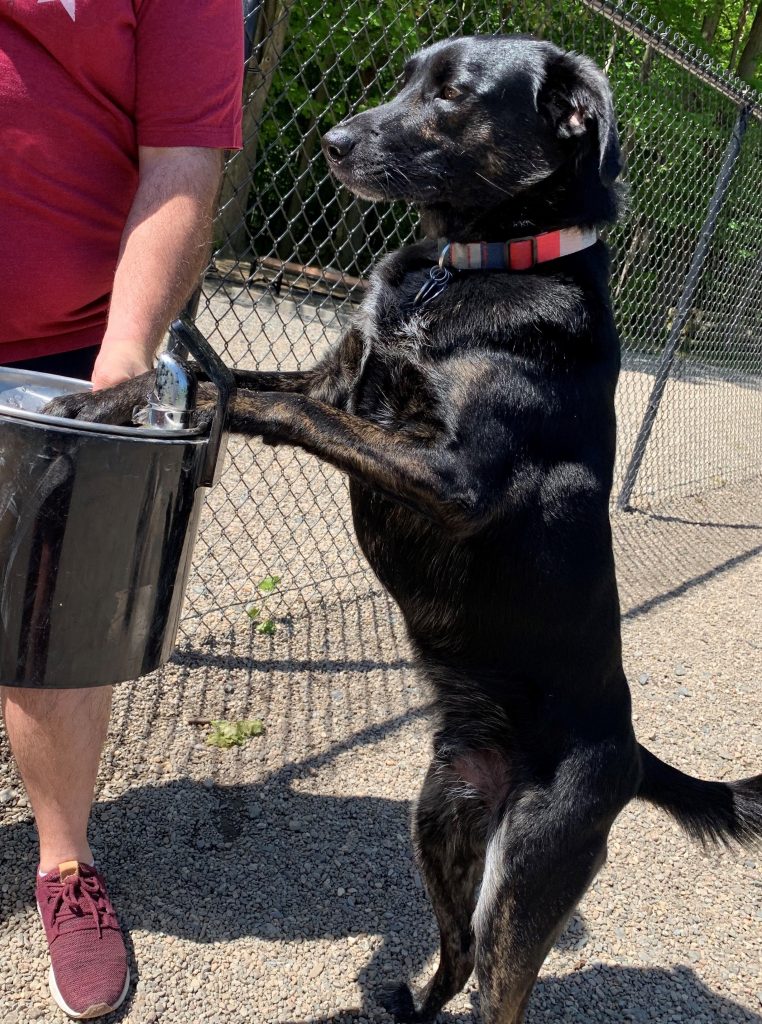 Finn helping clean up